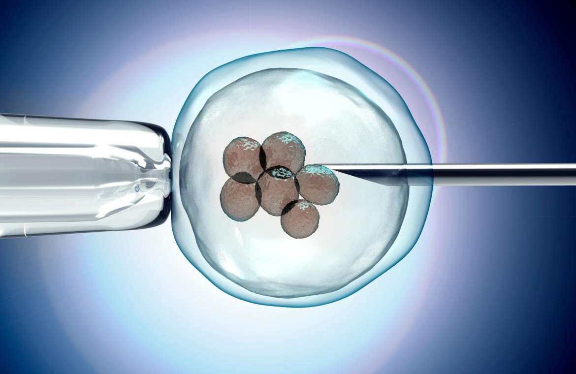 What Is The Difference Between Iui And Ivf Treatment Ferty9 Fertility Center