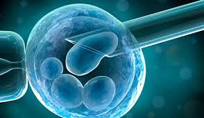 PRE-IMPLANTATION GENETIC TESTING