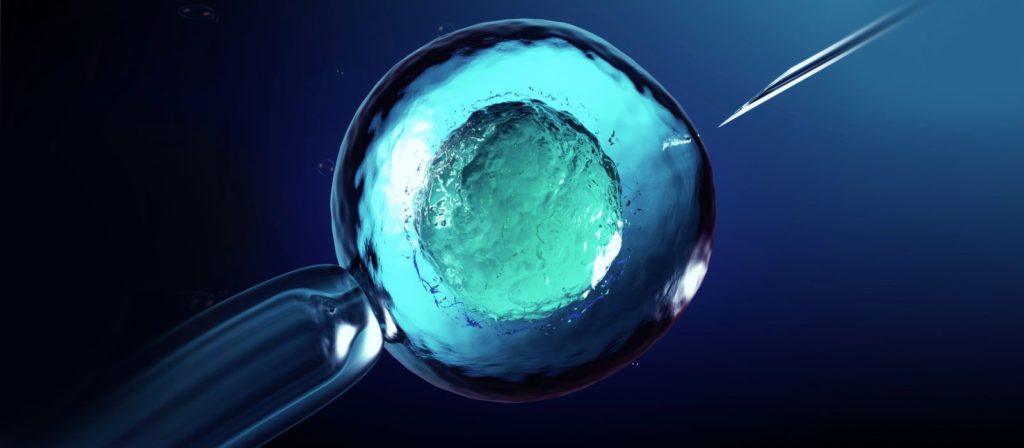 Frozen Embryo Transfer 