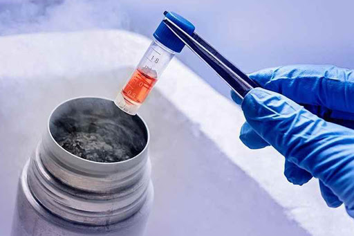 Frozen Embryo Transfer (FET)