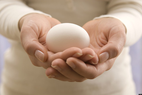 CHANCES OF PREGNANCY IN IVF WITH EGG DONATION?