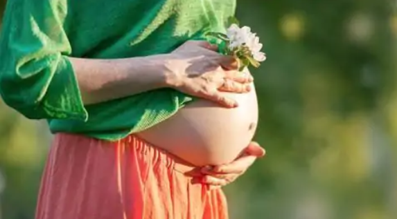 Surrogacy – Renting a Womb