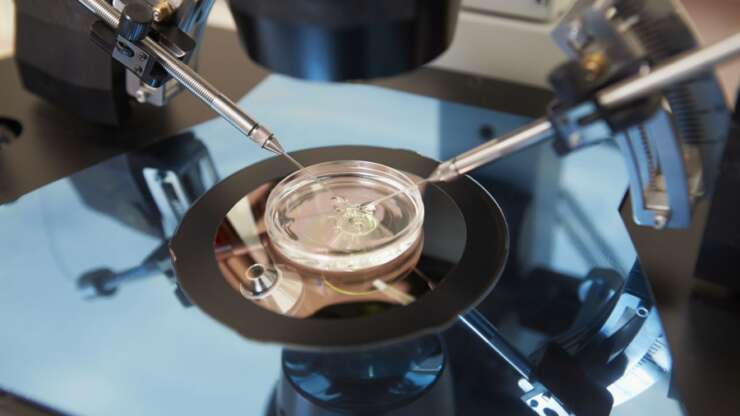 How to decide which embryo can be used during IVF?