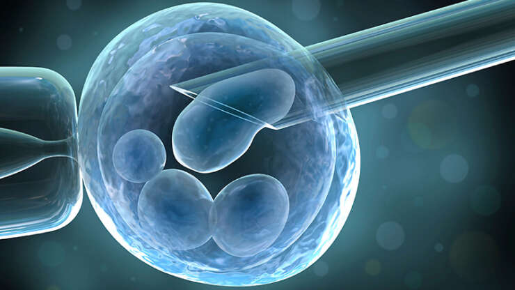 Does ICSI Increases the Success Rate of IVF Treatment?